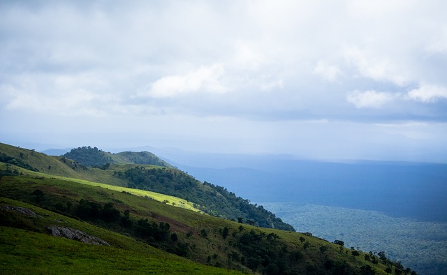 也在复制一 也在复制一